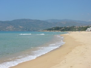 plagecorse