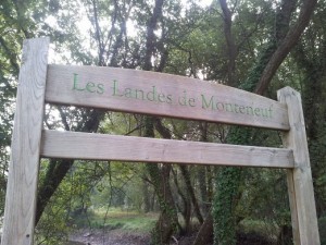 Les Landes de Monteneuf