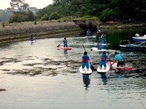 Paddle crt Laetitia